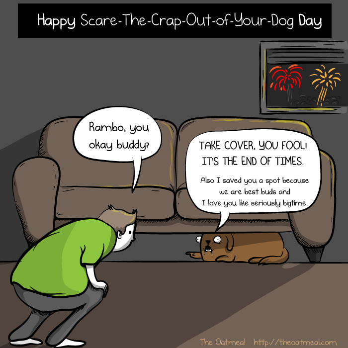 how do you comfort a dog scared of fireworks